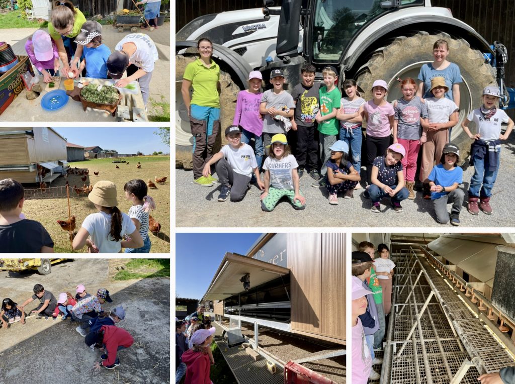 Vom Korn Zum Ei 5 Lerchenäckerschule Vom Korn zum Ei 5